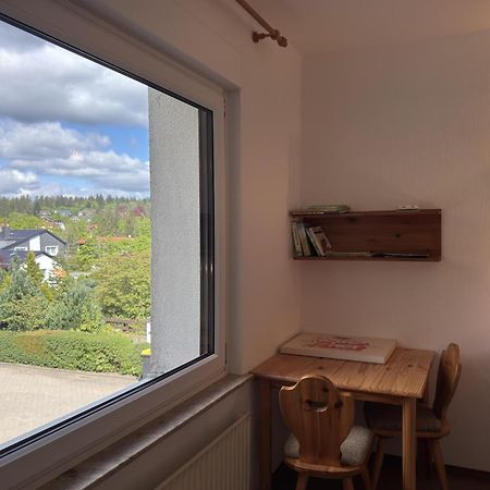 Ferienwohnung In Hahnenklee جوسلار المظهر الخارجي الصورة