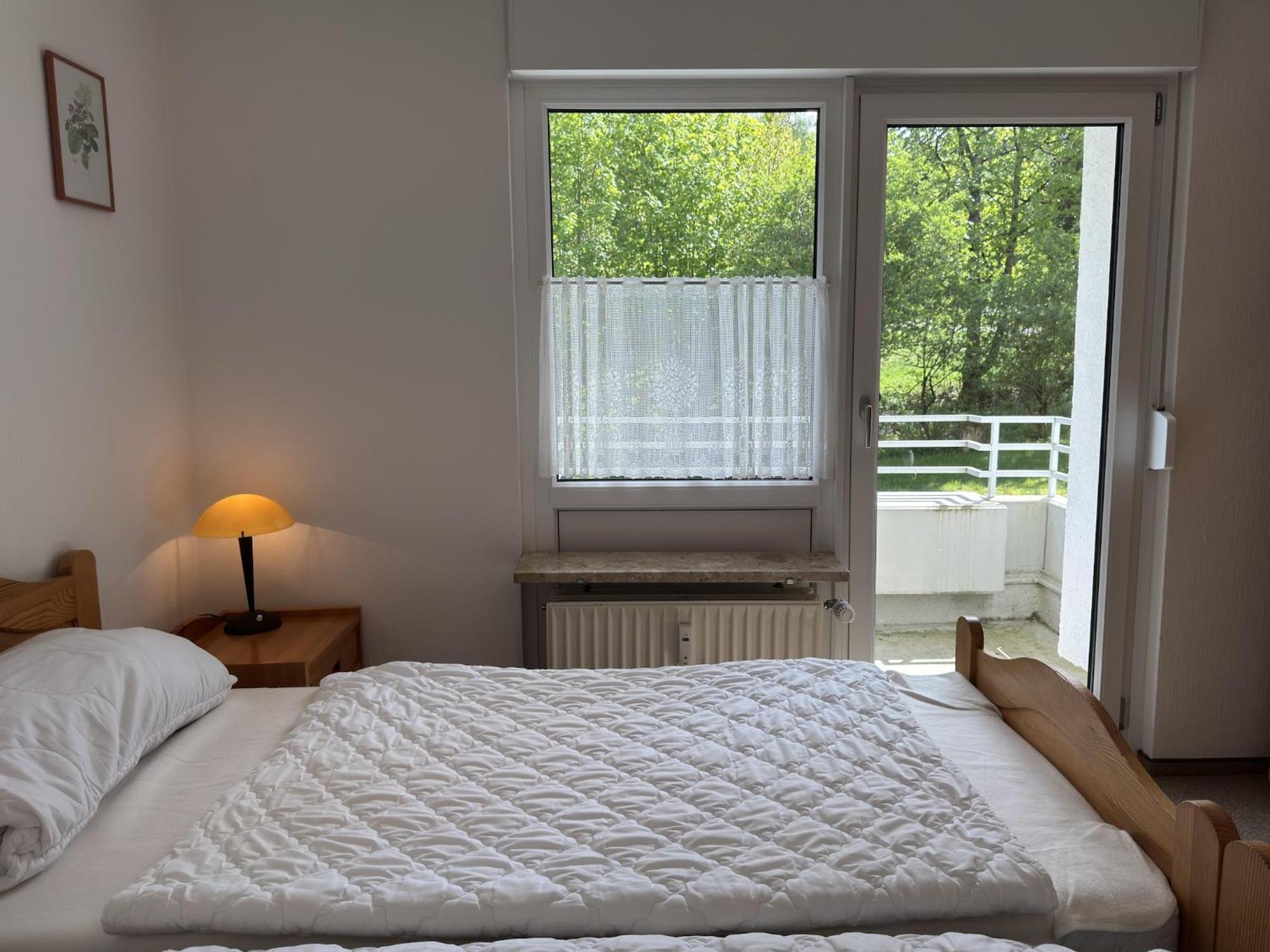 Ferienwohnung In Hahnenklee جوسلار المظهر الخارجي الصورة